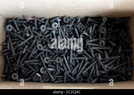 black screws in cardboard box Stock Photo