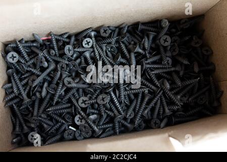 black screws in cardboard box Stock Photo