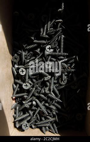 black screws in cardboard box Stock Photo