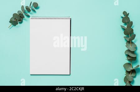 Blank notebook and eucalyptus on blue background Stock Photo