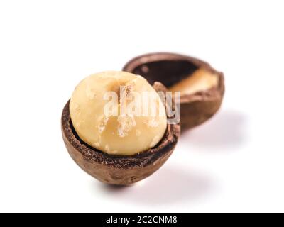 macadamia nut isolated on white Stock Photo