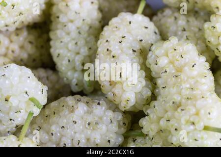 White mulberry on rustic board Stock Photo