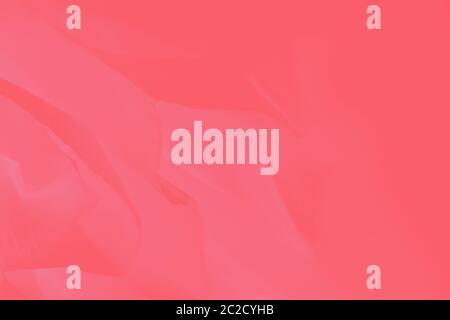 Pink coral gradient background, abstract blurred background Stock Photo
