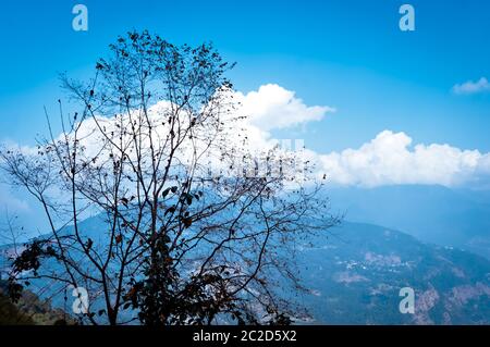 Tree with Himalayan mountain range. Storm cloud floating over in blue sky. Beauty of wild east asian indian nature. Dreamy landscape. Fluffy weather. Stock Photo