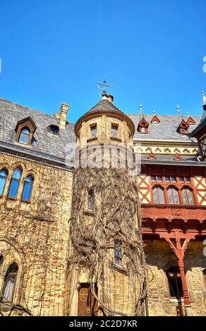 Trellis plants on a medieval tower in the courtyard of Wernigerode Castle. Germany Stock Photo