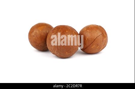 Close up group of three macadamia nuts isolated on white background, low angle side view Stock Photo