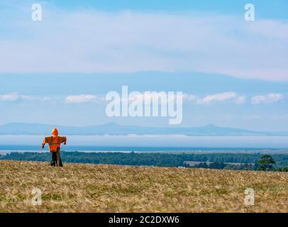 East Lothian, Scotland, United Kingdom, 17th June 2020. UK Weather: sunshine finally returns to the county after days of heavy fog. A scarecrow in a barley field overlooking the Firth of Forth which is still covered in sea fog, with the twin peaks of the Lomond Hills in Fife just visible Stock Photo