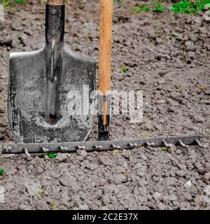 Tools for gardening stand in the garden on fertile land Stock Photo