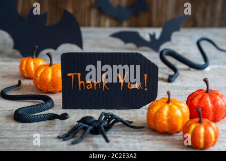 Black Label With English Text Thank You. Scary Halloween Decoration Like Bat, Snake And Spider Stock Photo