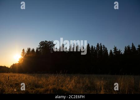 Beautiful sunset over hills and forest. Magic light during golden hour Stock Photo