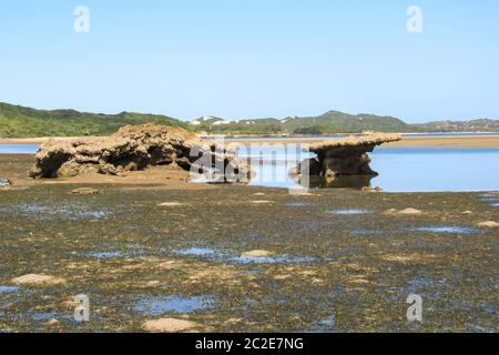 Tidal flat during low tide at KaNyaka Island, in Southern Mozambique, covered in seagrass with weathered beach rock formations in the background Stock Photo