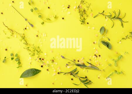 Herbs and spices design template. Various seasoning, shot from the top on a yellow background with a place for text Stock Photo