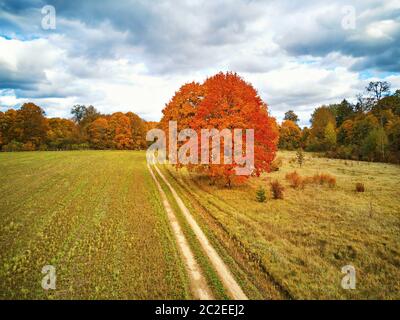 Autumn rural scene. Old park with red maples trees, agriculture field and dirt country road. Fall season weather cloudy sky. Nadneman park, Belarus Stock Photo