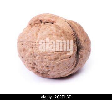 One big walnut isolated on white background Stock Photo