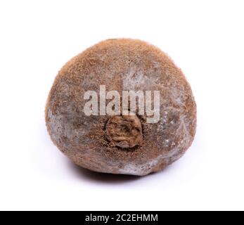 Rotten kiwi isolated on white background Stock Photo