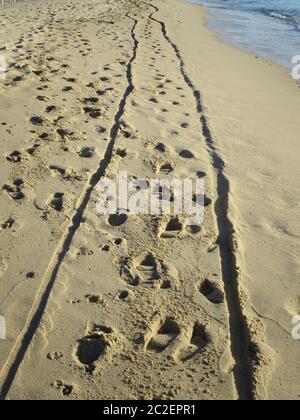 footprints and marks on the sand Stock Photo