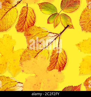 A seamless autumn pattern with vibrant yellow and orange fall leaves on a yellow background, an autumnal repeat print Stock Photo