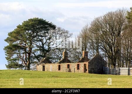 Sunlit Derelict building standing at the edge of a Scottish meadow Stock Photo