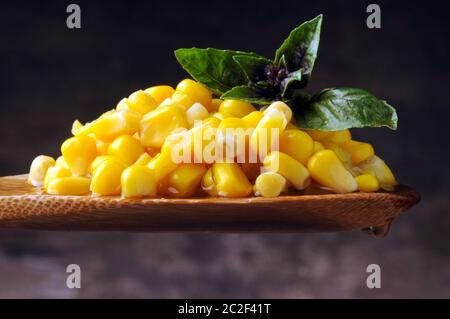 Corn kernels on spoon Stock Photo