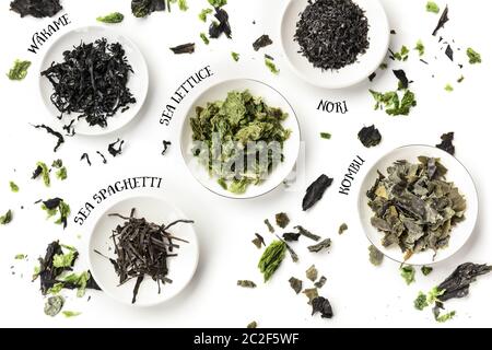 Dry seaweed, sea vegetables, with their names, shot from above on a white background Stock Photo