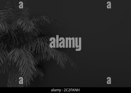 Palm tree with black palm leaves on a black background. Monochrome black foliage. Conceptual creative illustration with copy space. 3D rendering. Stock Photo