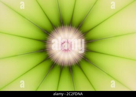 abstract multicolored vibrant symmetric blurred background, speed zoom effect Stock Photo