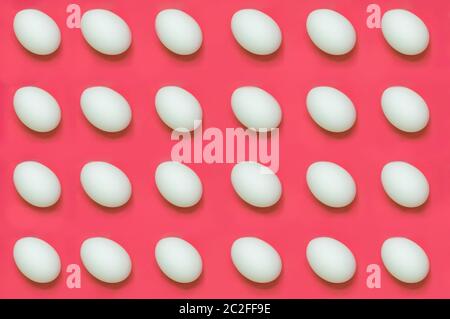 White eggs arranged on solid color background Stock Photo