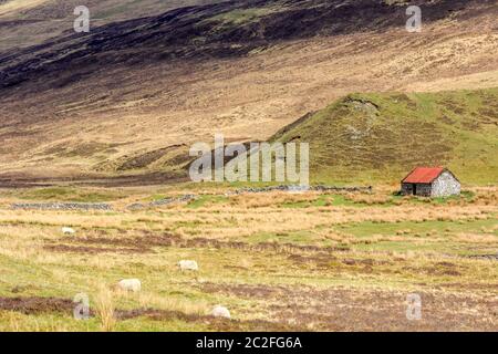 View down Glen Roy with two old buildings in the distant the Scottish highland Stock Photo