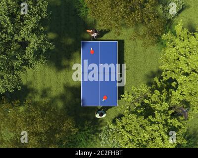 Single table tennis on the green meadow in the forest among the trees. Two people play table tennis on grass on the top view. Gambling in nature. 3D r Stock Photo