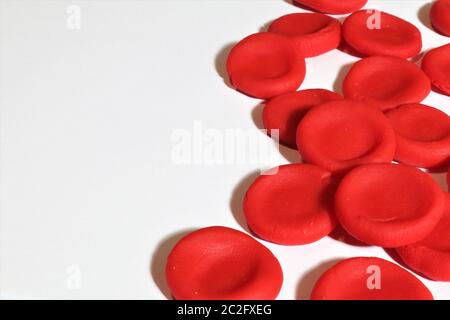 Red blood cells on a white background.3 D model made from plasticine. Hemoglobin is the protein inside red blood cells. It carries oxygen. Stock Photo