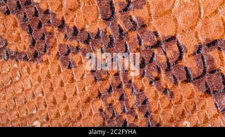 textured panoramic background from snakeskin leather close up Stock Photo