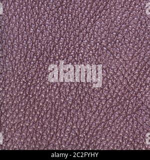 textured square background from purple brown leather close up Stock Photo