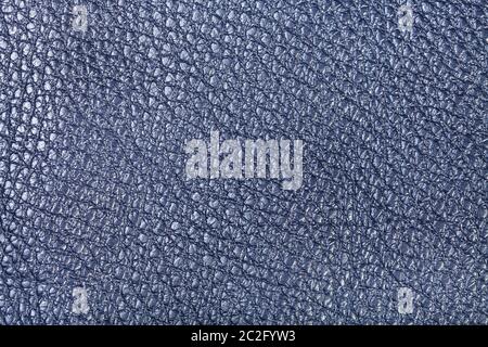 textured background from dark navy blue leather close up Stock Photo