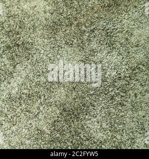 textured square background from dark olive green suede close up Stock Photo
