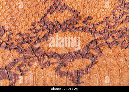 textured background from snakeskin leather close up Stock Photo