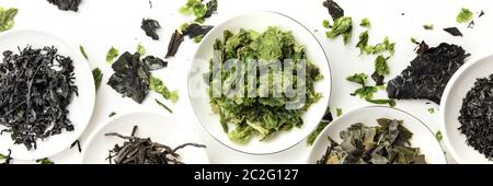 Various dry seaweed, sea vegetables, shot from above on a white background, panoramic flat lay composition Stock Photo