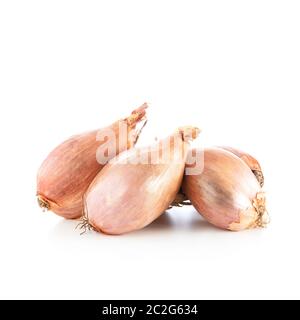 Whole shallots isolated on a white background, with shadow Stock Photo