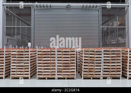 Crates of Tomatoes at Pallets in Warehouse Stock Photo