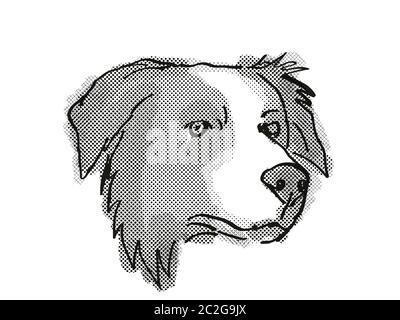 Retro cartoon style drawing of head of a Border Collie , a domestic dog or canine breed on isolated white background done in black and white. Stock Photo