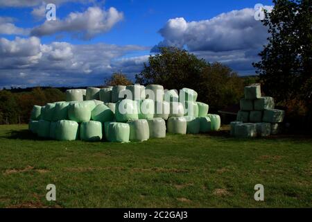 Hay bales that are packed with foil store in a meadow Stock Photo