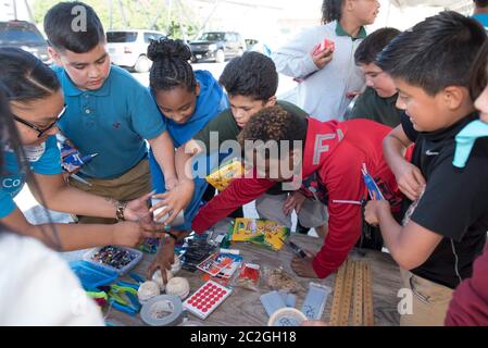 Austin Texas USA, April 20 2016: Students at Cedars International Academy, competing in the Earth Day Cardboard Challenge program at Cedars International Academy, design and build a science display out of cardboard and other simple recycled products. The event was held on Earth Day. ©Bob Daemmrich Stock Photo