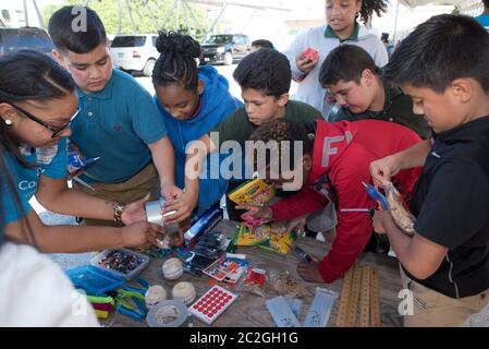 Austin Texas USA, April 20 2016: Students at Cedars International Academy, competing in the Earth Day Cardboard Challenge program at Cedars International Academy, design and build a science display out of cardboard and other simple recycled products. The event was held on Earth Day. ©Bob Daemmrich Stock Photo