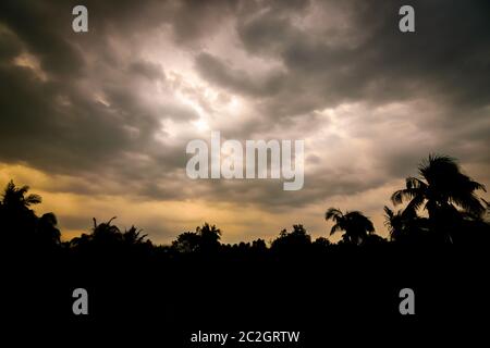 Thunder with clouds above and black silhouette trees below Stock Photo ...