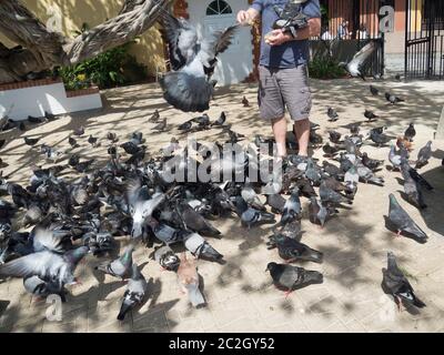Parque de las palomas Stock Photo