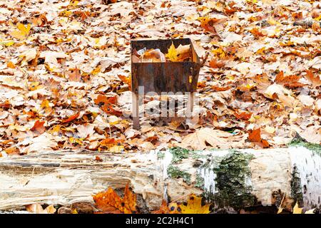 rusty small barbecue grill with trash on meadow covered by fallen leaves in city park in autumn Stock Photo