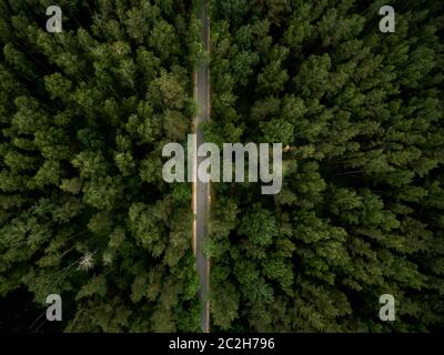 Asphalt road through the green forest. Summer landscape. Top view. Drone photo. Stock Photo