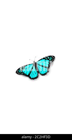 3D realistic Monarch Danaida butterfly social media cover. Highlights stories isolated white background template. Summer travel theme concept vector Stock Vector