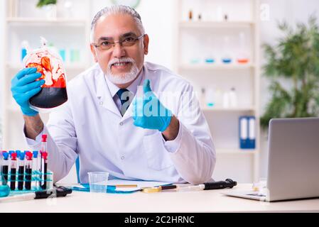Old chemist working in the lab Stock Photo