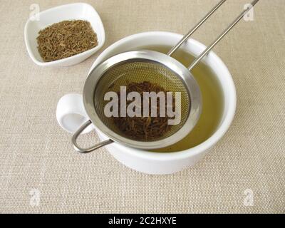 Tea from caraway seeds and caraway fruits in the tea strainer Stock Photo