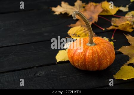 Small orange pumpkin and autumn leaves on a dark wooden background with copy space on the left. Pumkins are often used as halloween decorations. Stock Photo